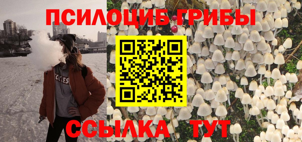 Псилоцибиновые грибы прущие грибы Будённовск