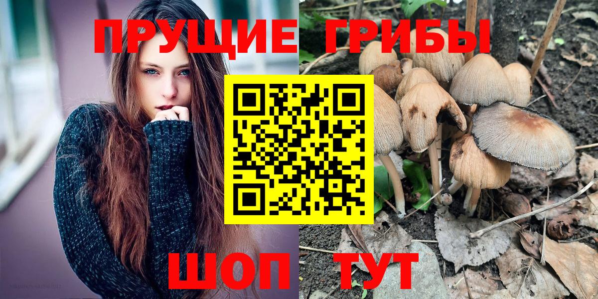 Будённовск  Галлюциногенные грибы прущие грибы  Вход с VPN 